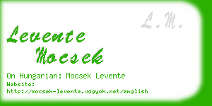 levente mocsek business card